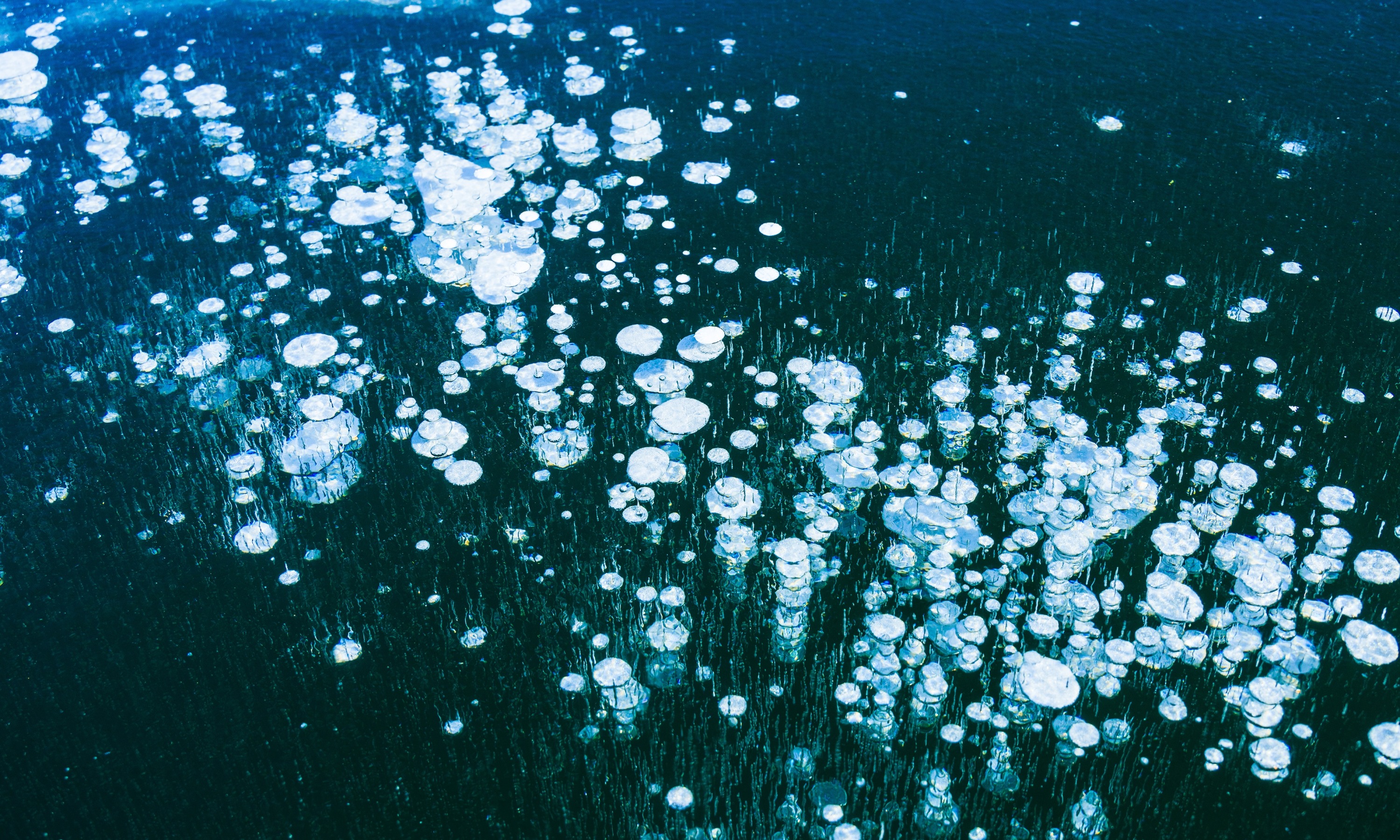 糠平湖のアイスバブル（令和4年1月6日撮影）の画像