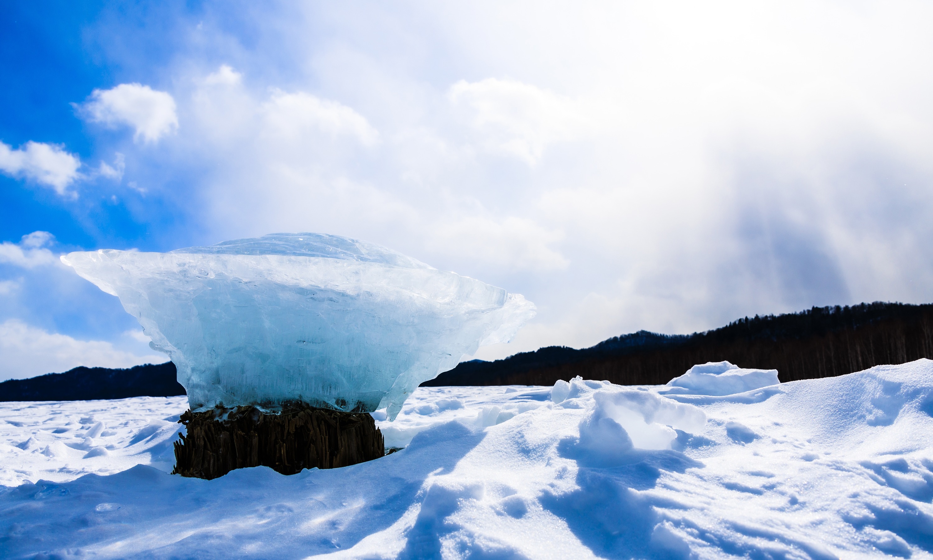 糠平湖のきのこ氷（令和4年2月24日撮影）の画像