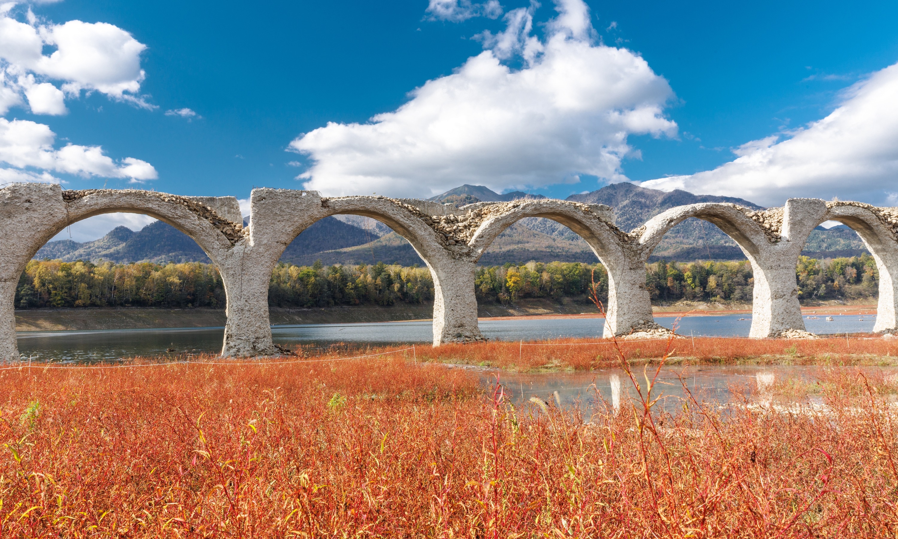 タウシュベツ川橋梁（令和5年10月12日撮影）の画像