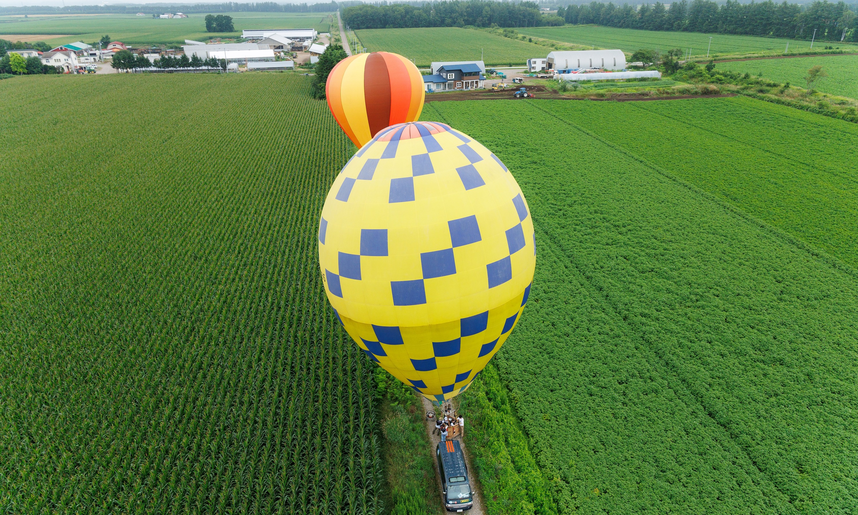 第51回北海道バルーンフェスティバル（令和6年8月3日撮影）の画像