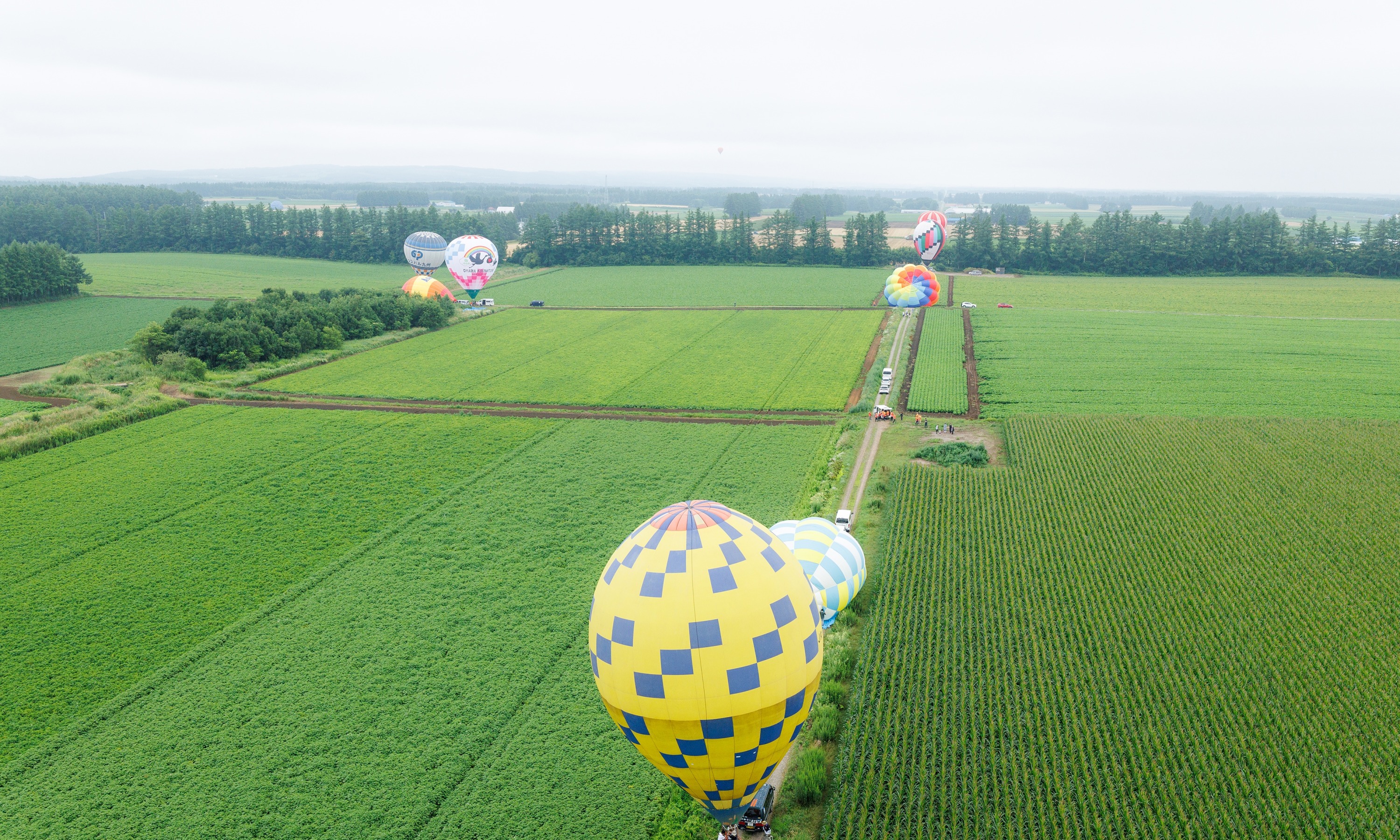 第51回北海道バルーンフェスティバル（令和6年8月3日撮影）の画像