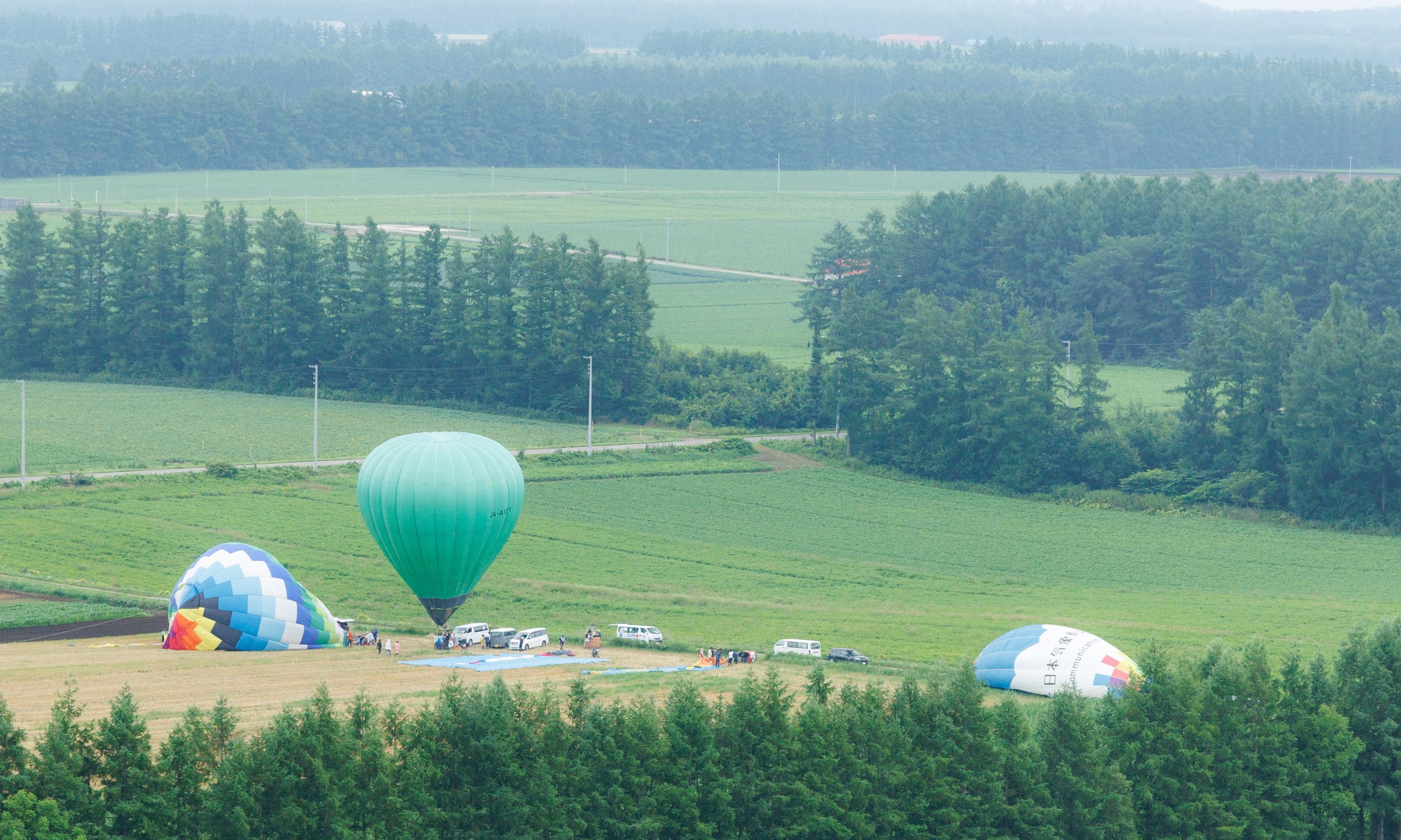 第51回北海道バルーンフェスティバル（令和6年8月3日撮影）の画像