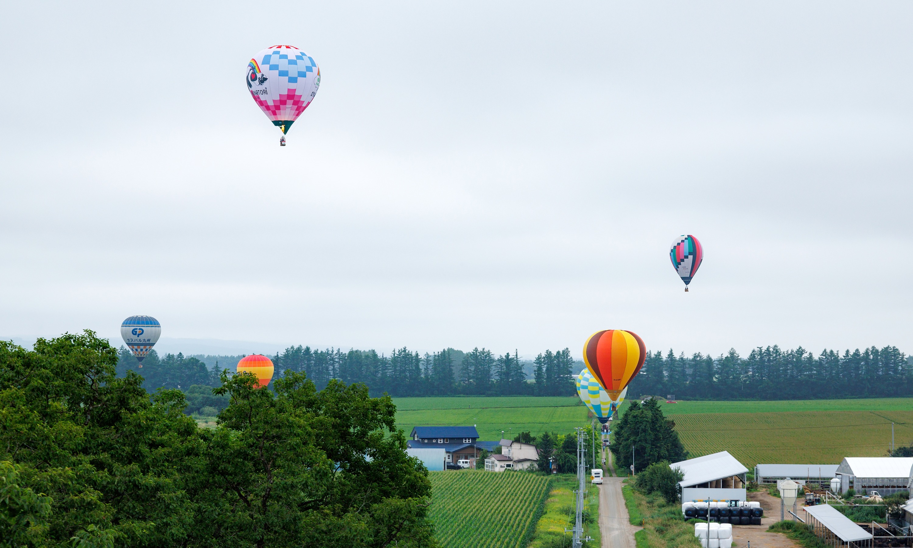 第51回北海道バルーンフェスティバル（令和6年8月3日撮影）の画像