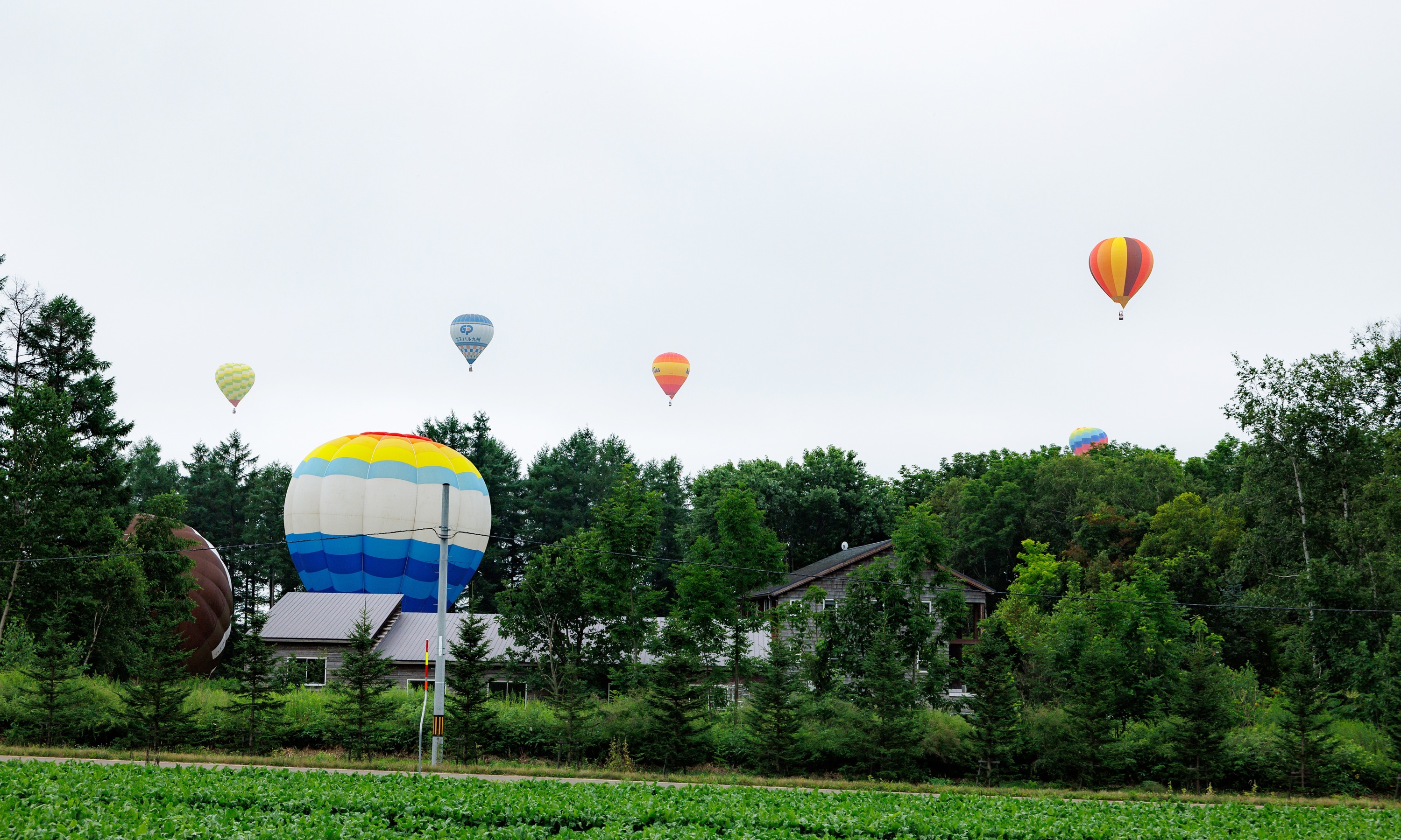 第51回北海道バルーンフェスティバル（令和6年8月3日撮影）の画像