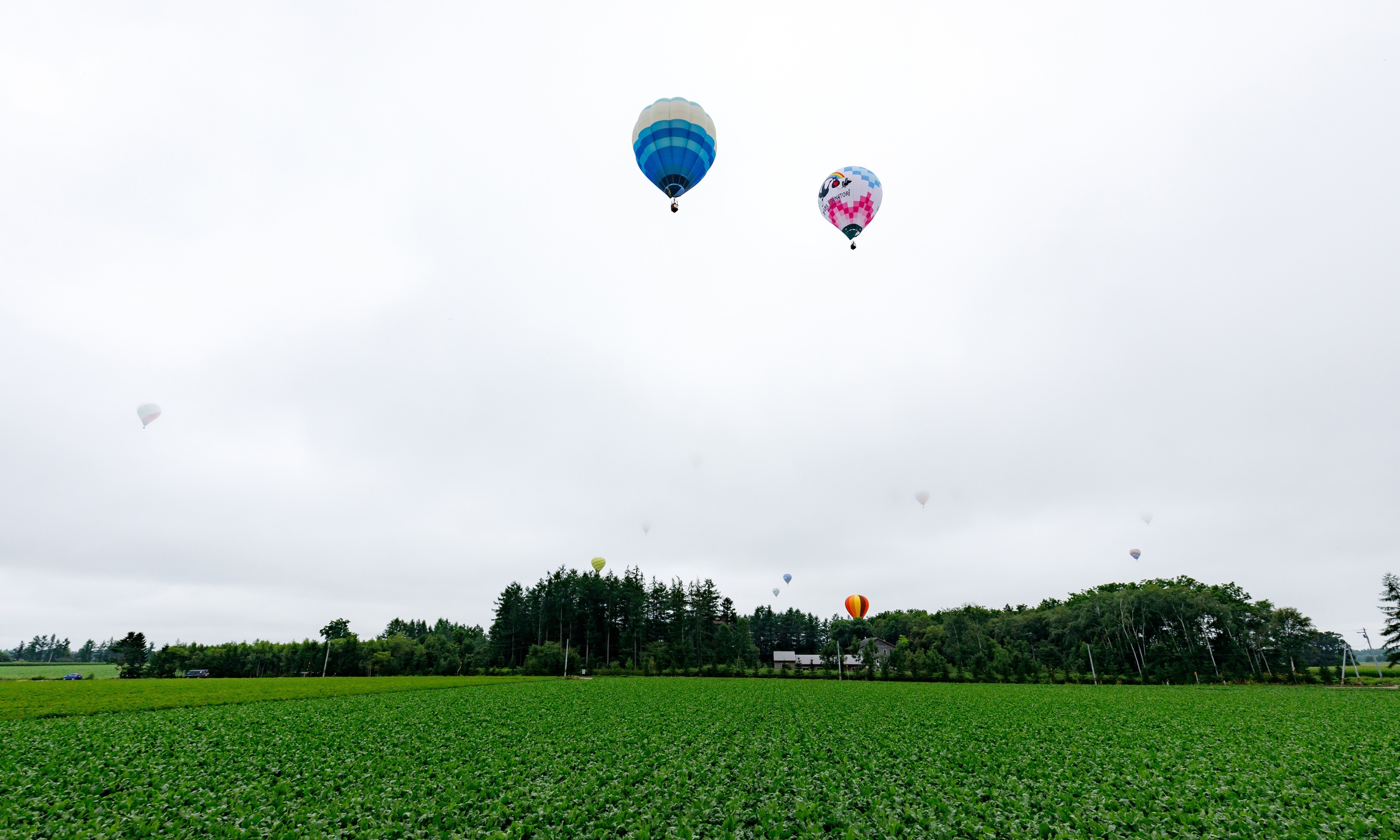 第51回北海道バルーンフェスティバル（令和6年8月3日撮影）の画像