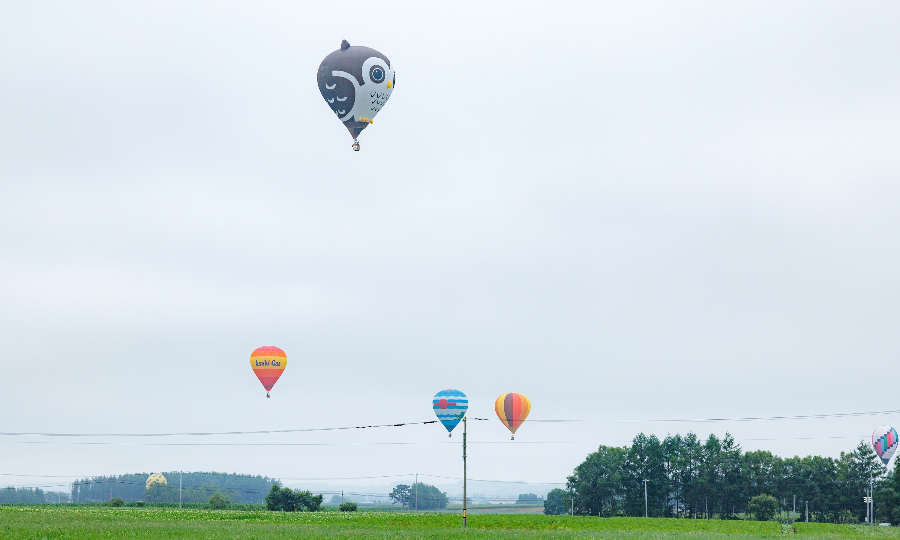 第51回北海道バルーンフェスティバル（令和6年8月3日撮影）の画像